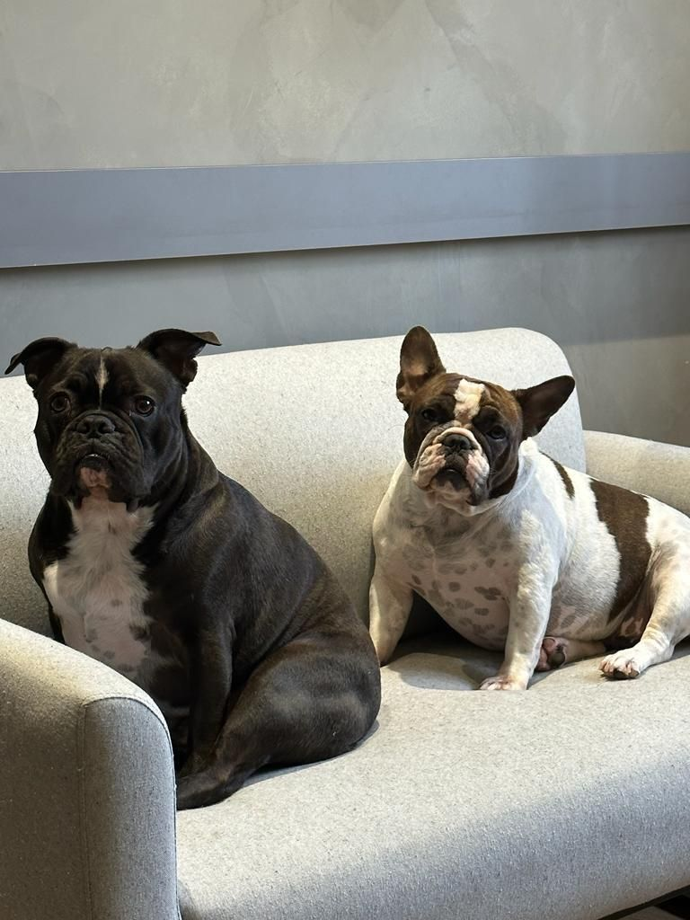 Ollie_and_Sky_picture