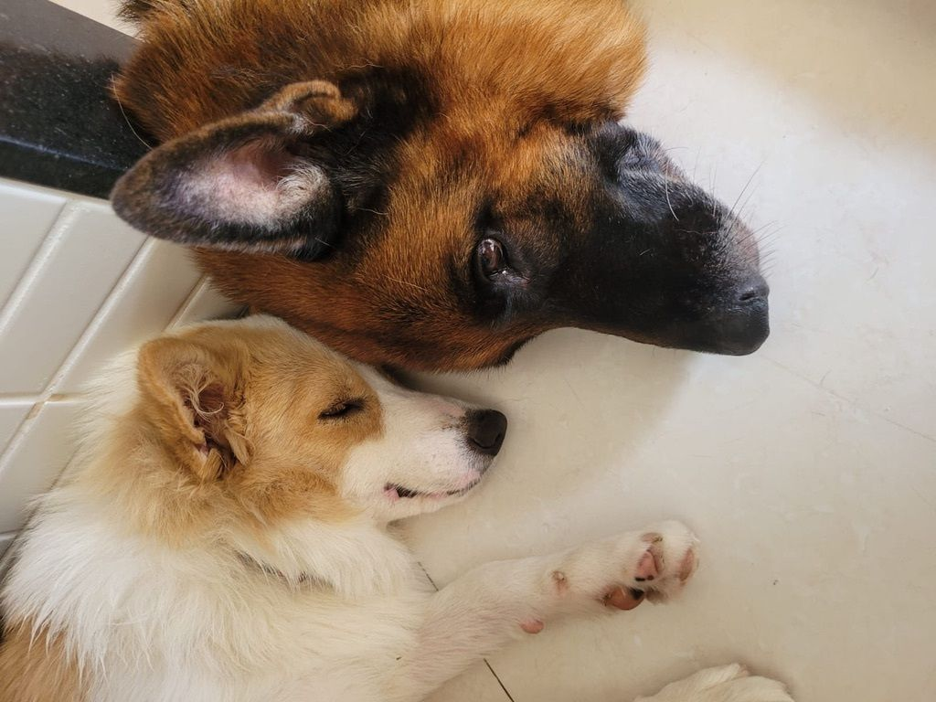 luke_and_nina_picture